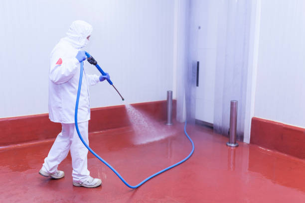 Best Warehouse Cleaning  in Needville, TX